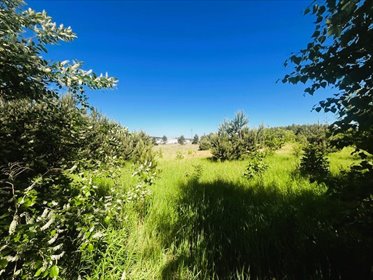 Do sprzedania działka inwestycyjno-budowlana 6957 m² w Krojantach działka Krojanty, 18 Pułk Ułanów Pomorskich