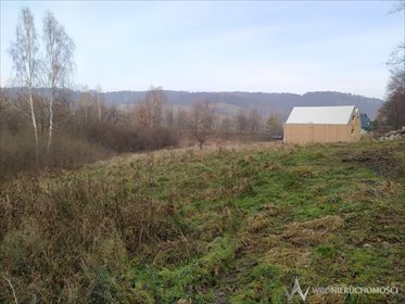 działka na sprzedaż 7700m2 działka Zagórze Śląskie, Spacerowa