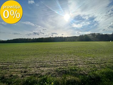 działka na sprzedaż 92000m2 działka Ostrowina