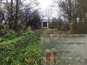 działka na sprzedaż 5200m2 działka Anielpol