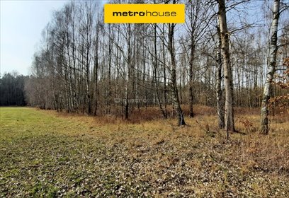 działka na sprzedaż 20000m2 działka Dąbrówka-Niwka