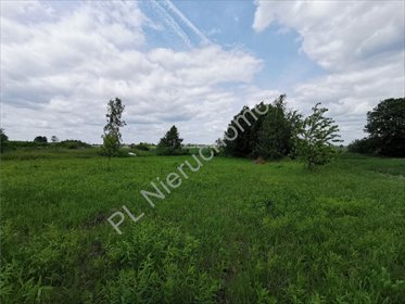 działka na sprzedaż 3384m2 działka Falenty Nowe