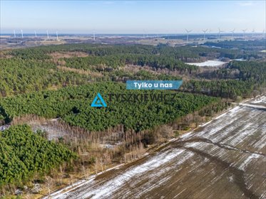 działka na sprzedaż 201100m2 działka Kazimierz