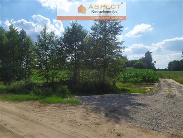 Działka inna na sprzedaż Nowy Lubiel 4 484m2 Foto 4