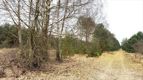 Działka 10 100 m² w Strobowie (potencjał inwestycyjny) działka Strobów
