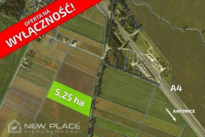 działka na sprzedaż 52546m2 działka Krajków, Wschodnia