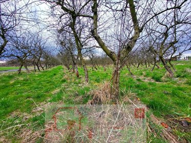 działka na sprzedaż 6300m2 działka Motycz