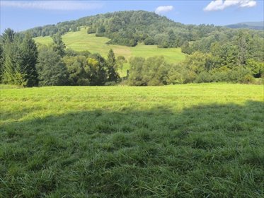 działka na sprzedaż 1428m2 działka Szare