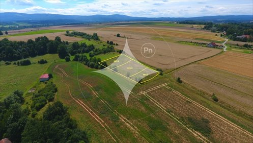 działka na sprzedaż 1500m2 działka Szalejów Dolny