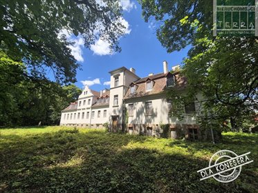dom na sprzedaż 1131m2 dom Radzików