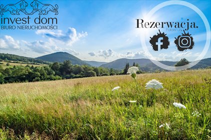 działka na sprzedaż 13900m2 działka Kunkowa