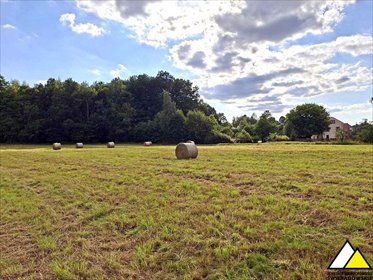 Polecam dom 195 m² z dużą działką pod lasem w Olszynie dom Olszyna, Pod lasem