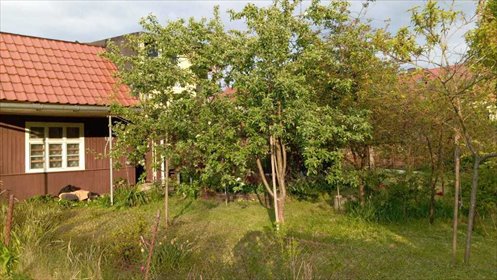 Działka rekreacyjna 420 m² z domkiem i nasadzeniami działka Szczecin, Żelechowa