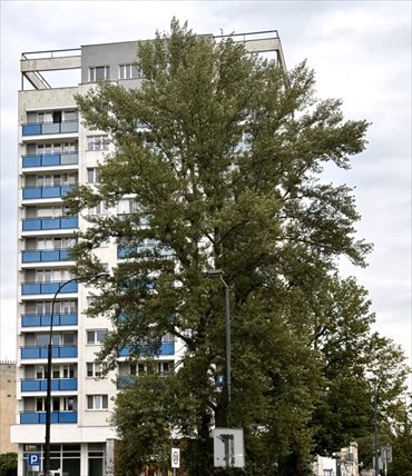 mieszkanie na sprzedaż 38m2 mieszkanie Warszawa, Praga-Południe Grochów, Bliska