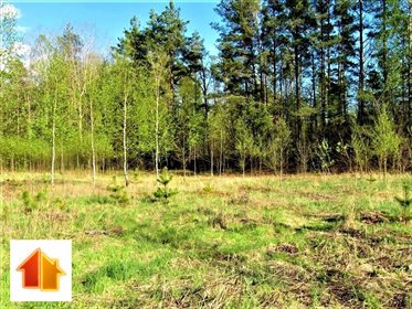 Działka budowlana 983 m² blisko Białegostoku z mediami działka Turośń Kościelna, Kolejowa