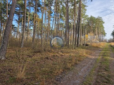 Działka 1646 m2 900 m od morza las i spokój działka Dziwnów