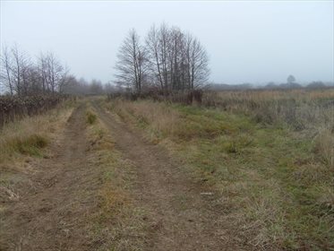 działka na sprzedaż 16918m2 działka Warszawa, Wilanów, Powsin, Rosochata