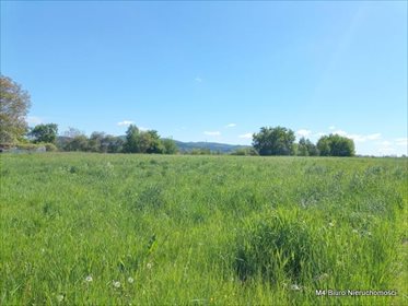 działka na sprzedaż 3620m2 działka Krosno, Turaszówka