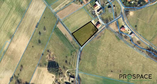 działka na sprzedaż 4250m2 działka Małaszowice