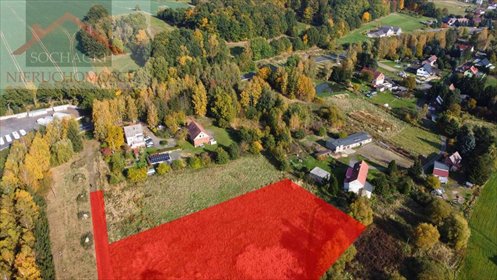 działka na sprzedaż 6100m2 działka Olszyna Dolna