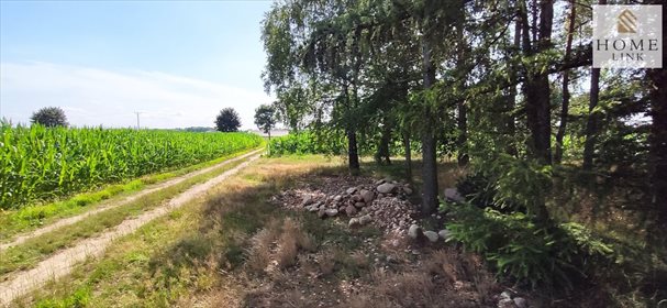 Działka leśna na sprzedaż Nowy Dwór 171 900m2 Foto 6