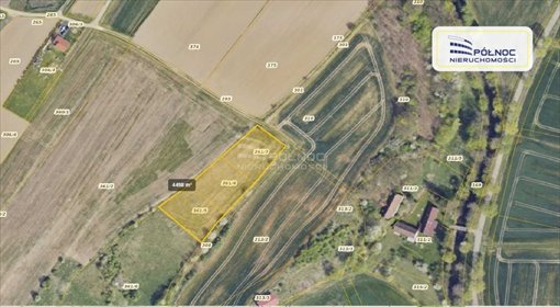 działka na sprzedaż 1500m2 działka Szalejów Dolny