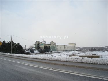 Działka inwestycyjna na sprzedaż Ochmanów 6 800m2 Foto 4