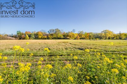 działka na sprzedaż 4867m2 działka Pagorzyna