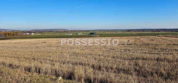 Działka usługowa 11 563 m² - blisko WSSE Invest Park działka Strzegom