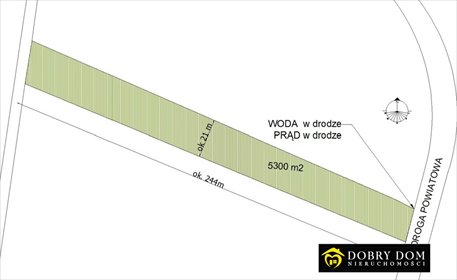 działka na sprzedaż 5300m2 działka Radunin