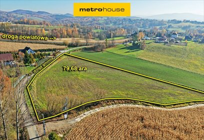 działka na sprzedaż 7968m2 działka Witanowice