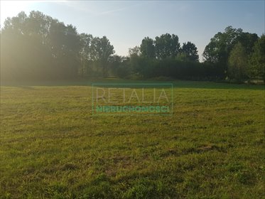 Działka 2000 m² w zielonej okolicy, uzbrojona, cicha działka Słubica Dobra