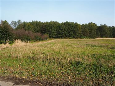 działka na sprzedaż 5000m2 działka Tomaszowice-Kolonia