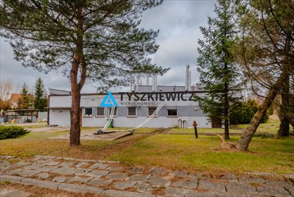 lokal użytkowy na sprzedaż 946m2 lokal użytkowy Kołczygłowy