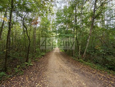 Działka 1500 m² z lasem i planem zabudowy - zapraszam działka Ojrzanów