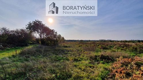Na sprzedaż działki usługowe 6500 m² w Skwierzynce działka Skwierzynka, Skwierzynka