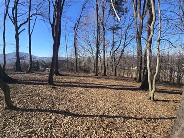 działka na sprzedaż 1452m2 działka Ustroń, Ustroń, Leśna
