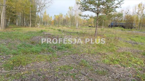 działka na sprzedaż 30100m2 działka Piekary Śląskie