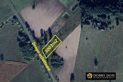Działka 3002 m² w Zagruszanym (blisko Białegostoku) działka Zagruszany