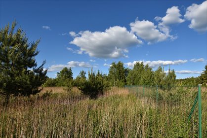 Działka rekreacyjna na sprzedaż Ostrowsko 982m2 Foto 3