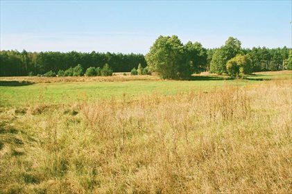 działka na sprzedaż 70064m2 działka Szkocja, PIĘKNA