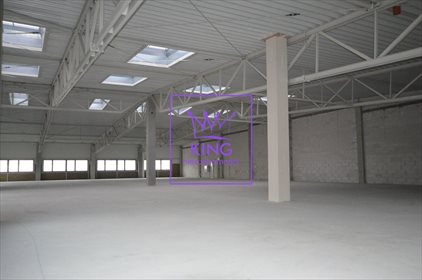 lokal użytkowy na wynajem 1120m2 lokal użytkowy Szczecin, Dąbie