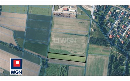Sprzedam działkę 6800 m² w Nadolicach Wielkich z potencjałem inwestycyjnym działka Nadolice Wielkie, Nadolice Wielkie, Nadolice Wielkie