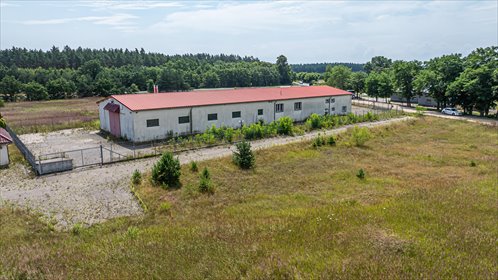 Na sprzedaż hala produkcyjno-usługowa 727 m² przy DK 94 lokal użytkowy Brzeźnik