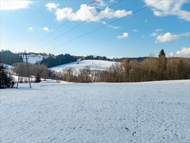 działka na sprzedaż 4525m2 działka Wysoka
