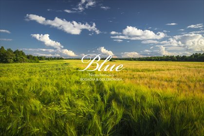 działka na sprzedaż 1100m2 działka Mierzyn