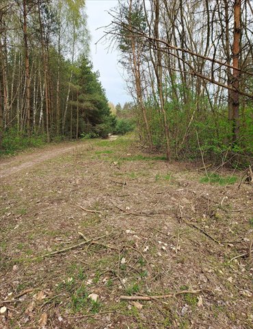 Działka na sprzedaż 2250m2 działka Hipolitów, Hipolitów