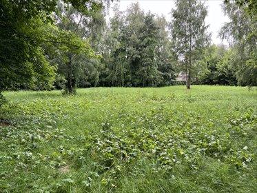 Działka z jeziorem i pozwoleniem na budowę, 58 417 m² działka Konstancin-Jeziorna, Konstancin-Jeziorna