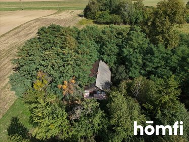 Klimatyczne siedlisko 3407 m² z tradycyjną zabudową dom Źrebce
