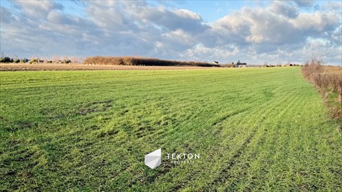 Działka przemysłowo-handlowa na sprzedaż Jedlanka 35 565m2 Foto 2